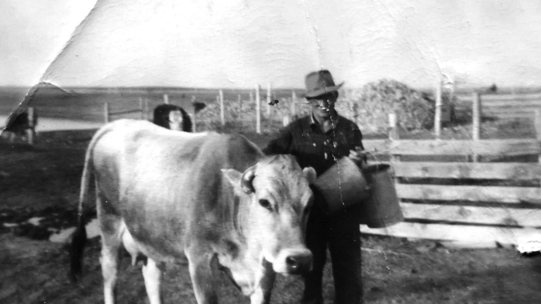 Yesteryear: Milking time
